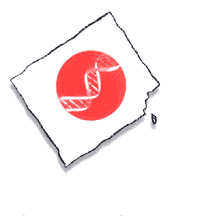 seed-1995.gif (3758 bytes)